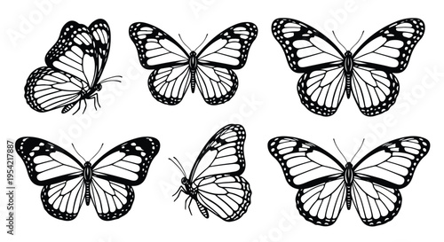 A colorful vector illustration of a beautiful set of butterflies and moths with delicate wings flying in a summer nature collection featuring yellow swallowtail insects and black macro bugs