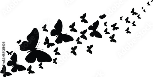 Set of black vector butterfly silhouettes for nature-inspired floral design illustrations and spring insect tattoo patterns
