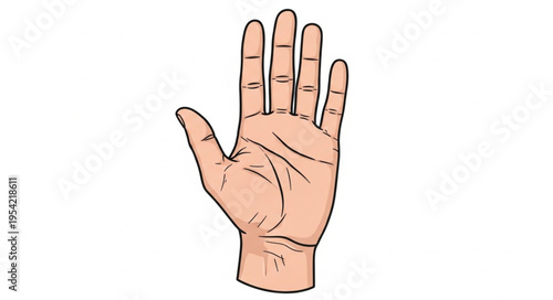 Illustration of a Human Hand with Palm Lines Visible.
