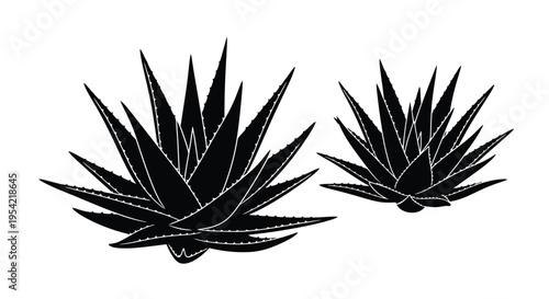 Two agave plants depicted in a striking black graphic silhouette
