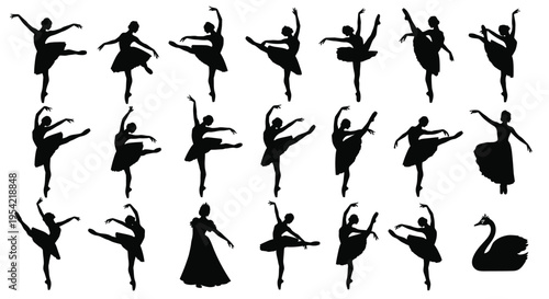 Multiple ballet dancers in various poses a striking black silhouette