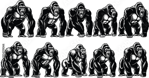 Silhouette gorillas in aggressive stances with muscular features and roaring expressions, wildlife illustration representing strength, power, animal behavior, and artistic design for nature themes