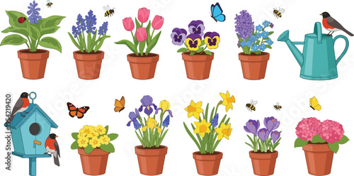 A vibrant set of colorful spring flowers featuring pink tulips and purple hyacinths blooming in garden pots and vases isolated for seasonal floral decoration