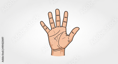 Illustration of an Open Hand with Visible Palm Lines.