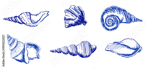 Ocean seashell engraving style vector illustration set with marine shell collection hand drawn vintage design, beach shell, coastal, nautical, sea life