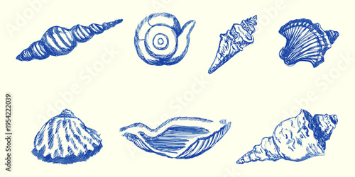 Vintage seashell engraving illustration set with ocean marine shells hand drawn vector collection, seashell, ocean shell, beach, marine, nautical