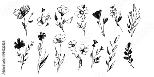 Hand Drawn Wildflower and Leaf Sketch Vector Set, Organic Floral Doodle Collection, Ink Wash, Decorative, Wedding, Nature