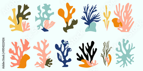 Hand Drawn Abstract Sea Shapes Vector Illustration Set, Organic Botanical Algae Sketch, Summer, Coastal Decor, Nature, Aquatic