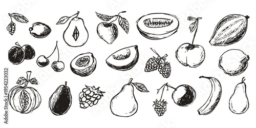 Hand drawn fruit and berries vector set with vintage engraving style illustration collection, fruits, berries, sketch, botanical, food, black and white