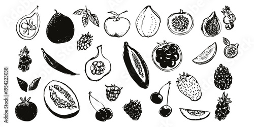 Vintage engraved fruit collection vector with berries hand drawn botanical food illustration set, fruits, berries, sketch, engraving, organic, natural
