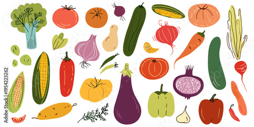Hand drawn colorful vegetables vector set with organic food illustration collection, vegetables, veggie, food, organic, healthy, fresh, farm
