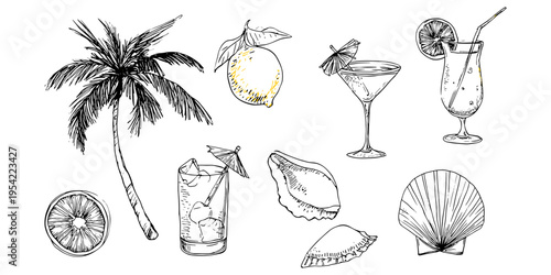 Hand drawn summer tropical illustration set with cocktails lemon palm tree and seashell sketch collection, summer, tropical, cocktail, beach, drink, vacation