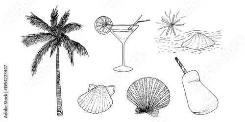 Summer tropical vector set with hand drawn cocktails palm tree lemon and beach elements illustration, summer, tropical, beach, drink, vacation, holiday