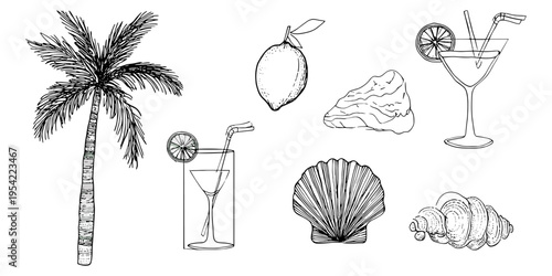 Hand drawn summer beach collection with cocktails lemon palm tree and seashell illustration set, summer, tropical, beach, drink, vacation, holiday, travel