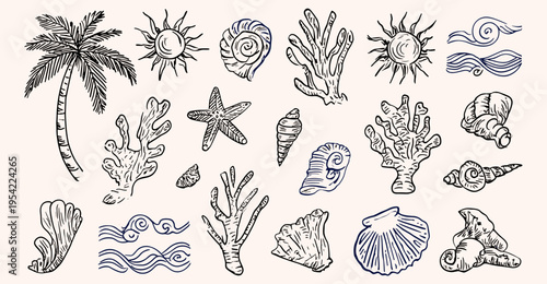 Hand drawn beach and ocean illustration set with palm tree sun shells coral and waves in vintage line art style, beach, ocean, tropical, summer, illustration