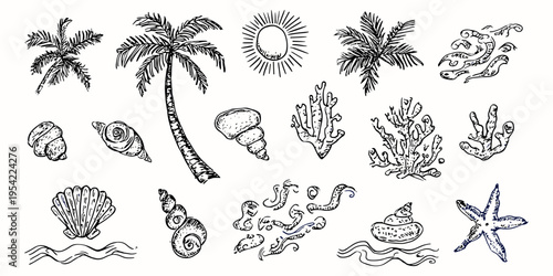 Tropical seaside doodle collection with palm tree sun sea shells coral reef and wave elements in hand drawn sketch style, beach, ocean, tropical, summer, illustration