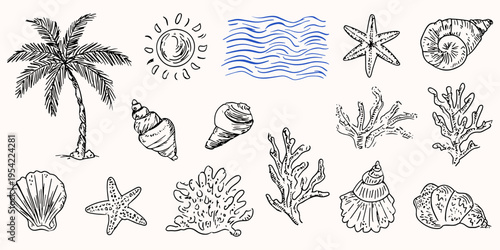 Coastal summer illustration set with palm tree coral shells waves and sun in vintage engraving line art style, beach, ocean, tropical, summer, illustration