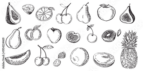 Hand drawn fruit collection with apple pear pineapple cherry citrus and berries in vintage sketch style for menu, packaging and food design
