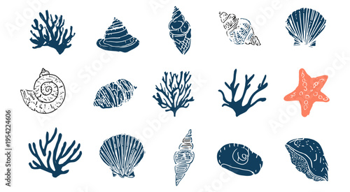Hand drawn seashell and coral collection in minimal vintage style for ocean themed design, branding, textile and coastal decoration