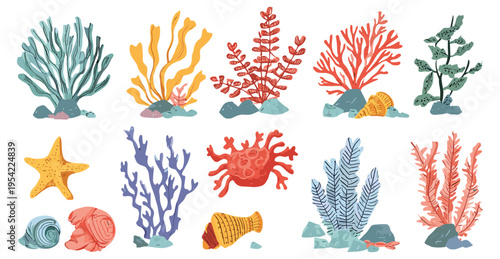 Coral and seaweed illustration set in colorful hand drawn style with marine elements for ocean design, aquarium decor and tropical graphics