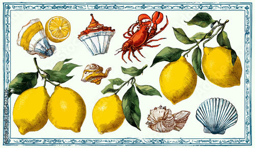 Vintage Sicily Amalfi coast sticker set with lemons lobster and seashells in engraving style for Mediterranean branding, italian summer clip art, botanical fruit illustration, coastal design