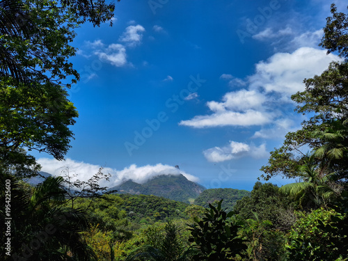 Tropical Mountain View