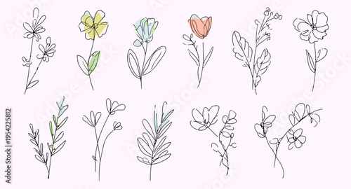 Delicate botanical line art collection with garden flowers and olive stems for wedding invitations, aesthetic sketchy nature doodles, organic boutique logo elements