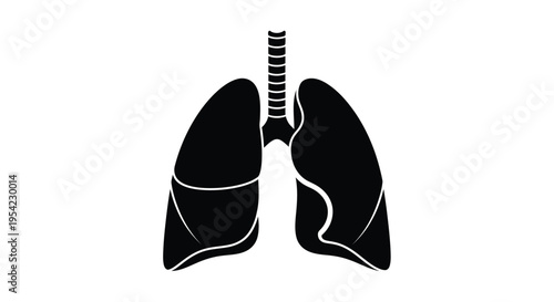 Anatomical illustration of human lungs displayed as a stark silhouette