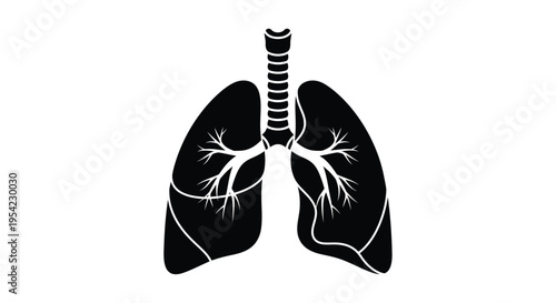 Detailed anatomical illustration of human lungs a striking black silhouette
