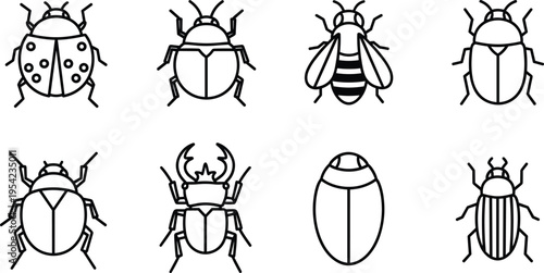 Bug and Insect Species Icon Set — Ladybug, Beetle, Bee, Crab, Scarab and Insect Outline Line Art