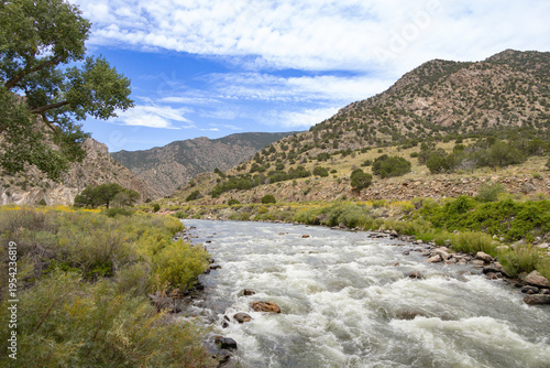 The Arkansas River in Bighorn Sheep Canyon, Colorado