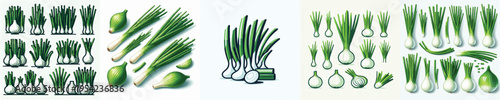 Green Onion Vector Illustration Collection