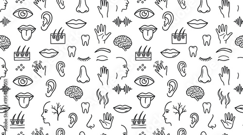 Human sensory system and body parts theme with clear academic style, doodle objects including eye, ear, nose, mouth, tongue, hand, fingers, brain, skin patch, lips, teeth,