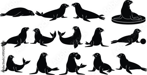 Black sea lion silhouettes set featuring seals in various poses including swimming, balancing balls, sitting on ice, jumping, and performing circus tricks on white background.