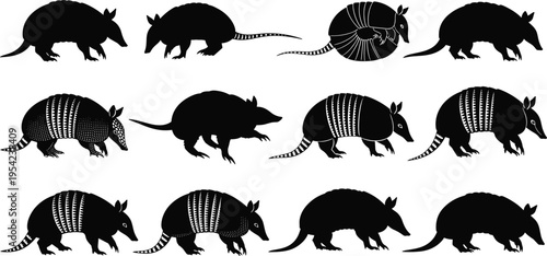Set of armadillo silhouettes collection featuring various poses including walking standing and curled into a ball isolated on white background for wildlife and nature design