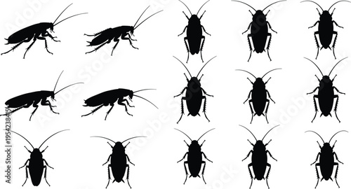 Set of cockroach silhouettes collection featuring various roach insect positions from top and side views isolated on white background for pest control design
