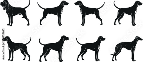 Optimized Title
Set of eight black hound dog silhouettes featuring various hunting dog breeds in standing profile poses isolated on white background for pet and wildlife design