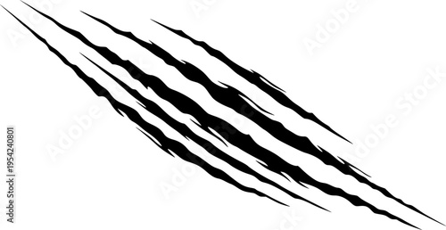 Black claw marks on white background scratch animal
