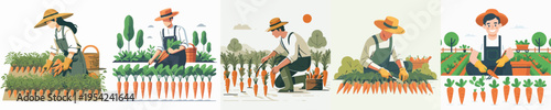 Vector Illustration of Farmer Harvesting Carrots
