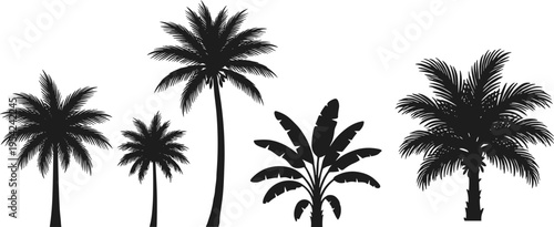 Silhouettes of tropical trees including palm varieties and banana plant, symbolizing exotic flora and landscape diversity in vector design