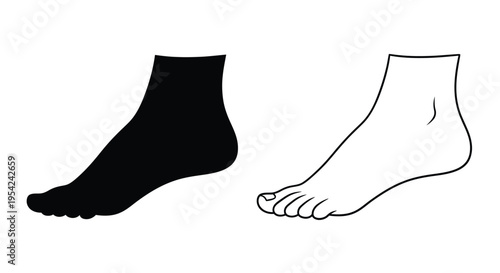 A contrasting depiction of a human foot shown in both black and white