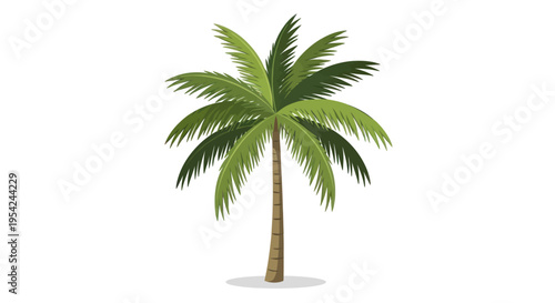 Palm tree standing alone outdoors.