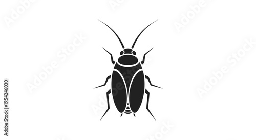 Black cockroach insect bug pest.
