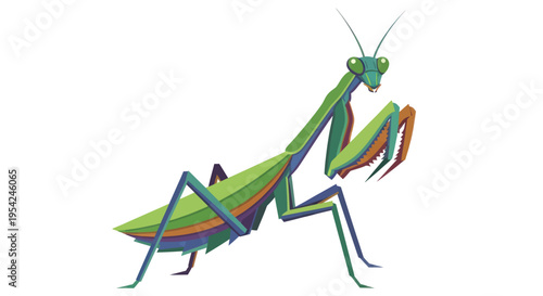 Colorful Praying Mantis Insect Closeup.