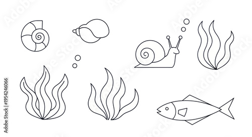 Fish and sea creatures swimming together.