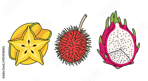 A colorful vector illustration of exotic fruits including starfruit, rambutan, and dragon fruit.