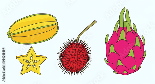 A colorful vector illustration of exotic fruits including dragon fruit, rambutan, and starfruit.