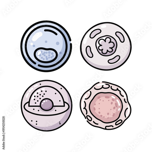 Cell Biology Illustration Set with Human Cell Structure and Organelle Diagrams for Educational Use