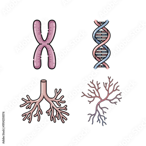 Biology and Medical Illustration Set with DNA Helix, Chromosome, Neuron Cells, and Bronchial Tree for Education