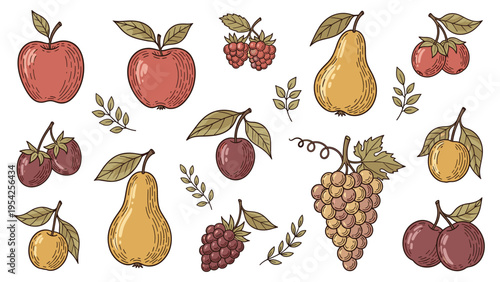 Hand Drawn Vintage Fruit and Berry Collection. Engraved Style Fresh Produce Set with Apples, Pears, Grapes, Cherries, Strawberries, Raspberries Iso...